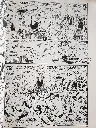SPECIAL-USA_53_C.webp